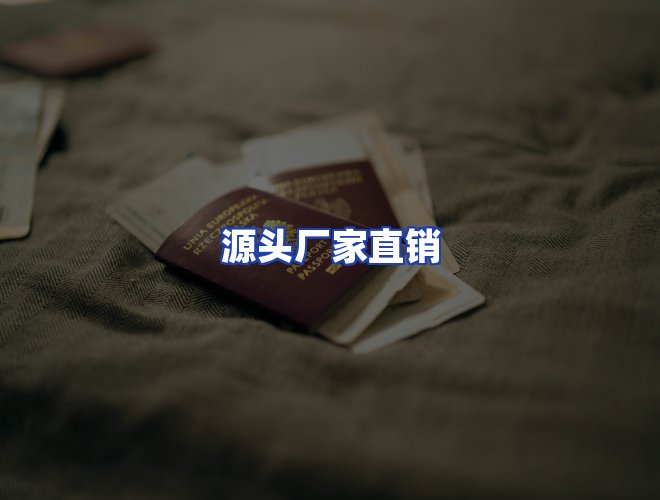 专业团队